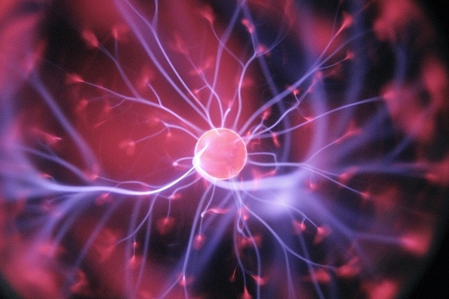 Your Master Controller: The Central Nervous System is Responsible for the Function of EVERYTHING!